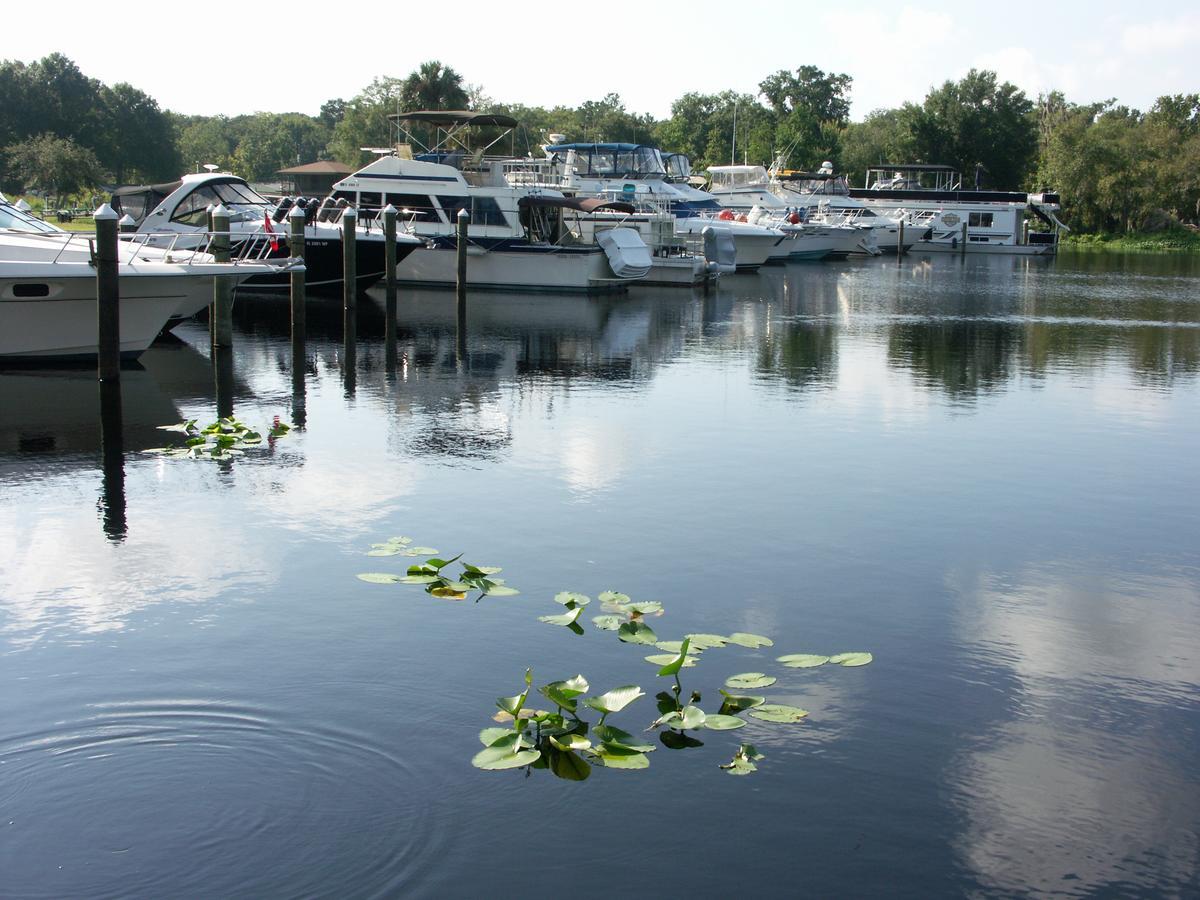 Big River Marina & Lodge Astor Екстер'єр фото